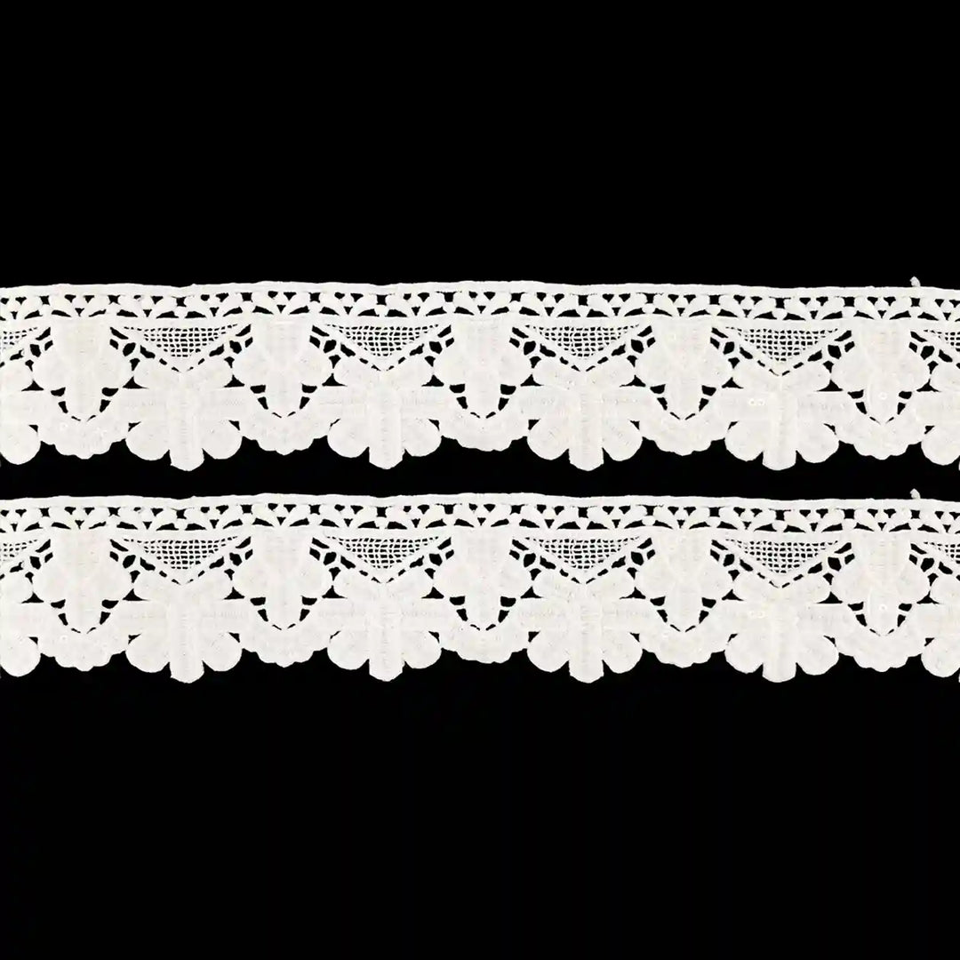 Point de Gaze Design Lace Trim | 2 Meter