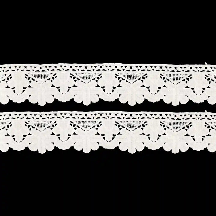 Point de Gaze Design Lace Trim | 2 Meter