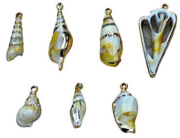 Conch Seashell Charms