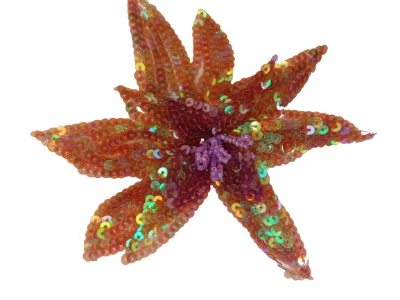 Colorful Star Radiant Sequins Patch