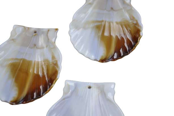 Ocean Oasis Sea Shell