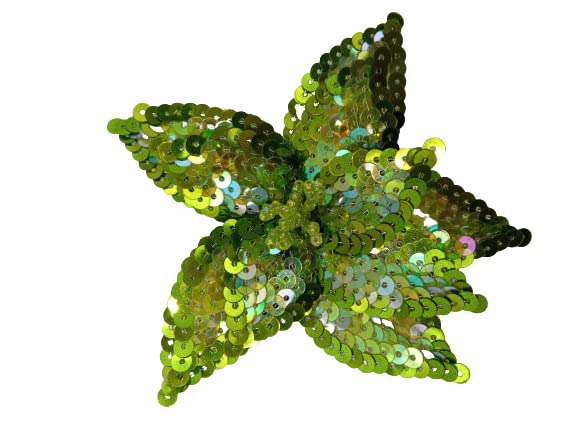 Green Gem Star Sequins Patch