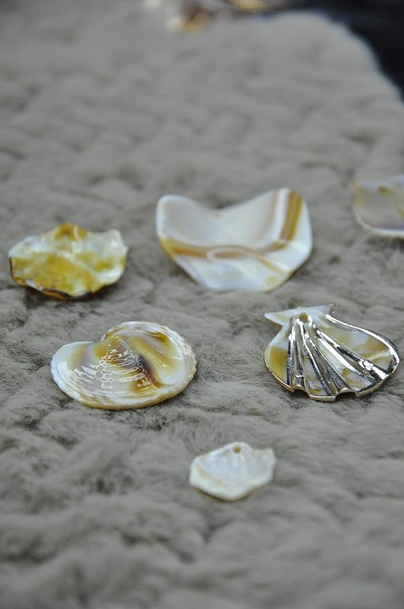 Mixed Seashell Accents