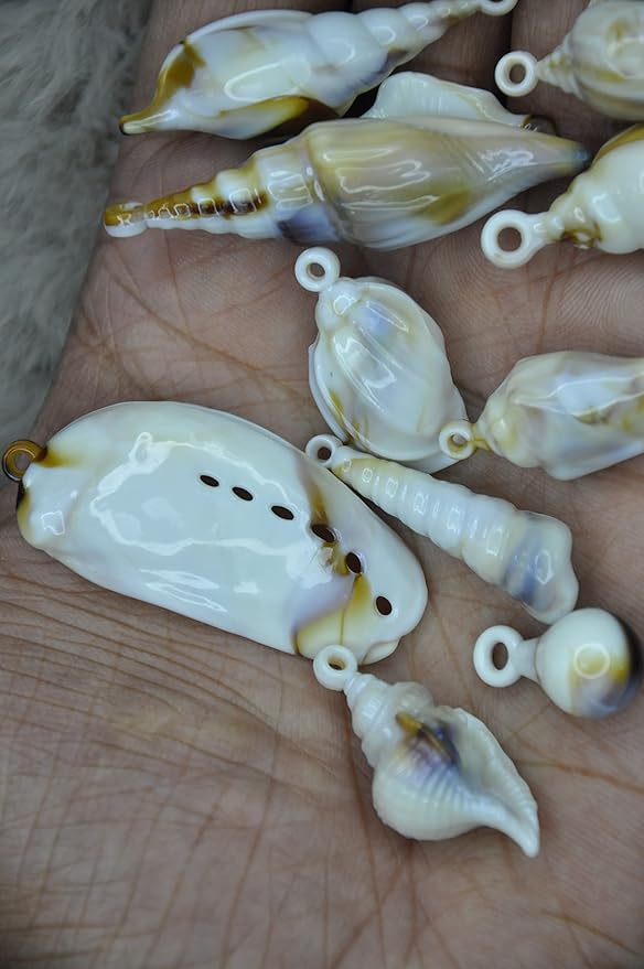 Coastal Mixed Seashell Charms