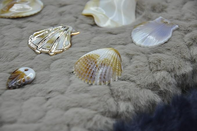 Mixed Seashell Accents