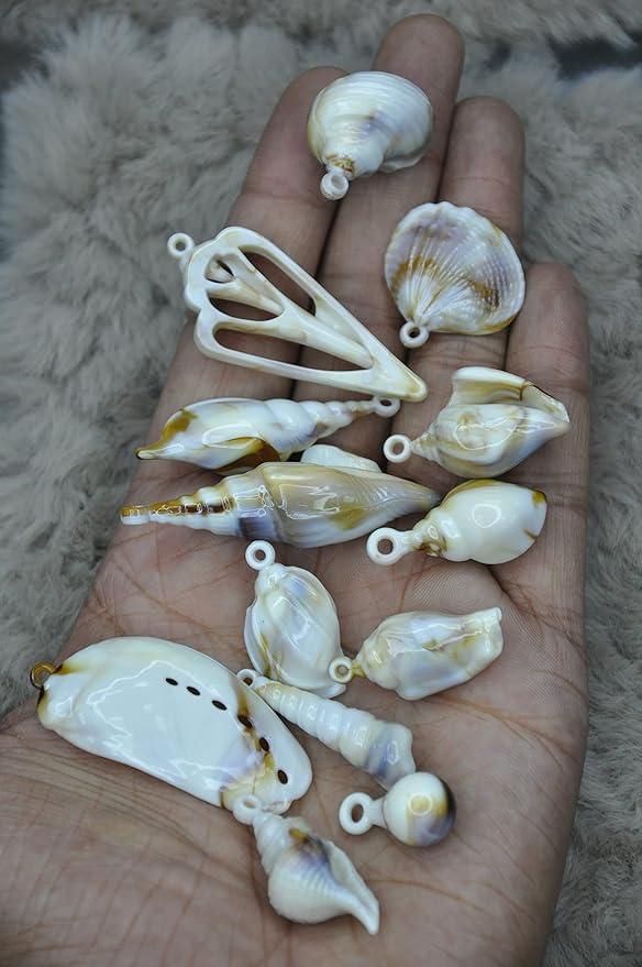 Coastal Mixed Seashell Charms