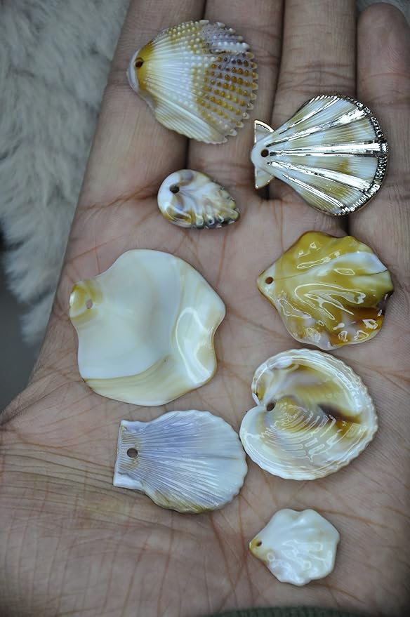 Mixed Seashell Accents