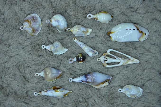 Coastal Mixed Seashell Charms