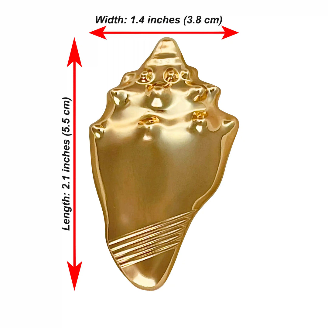 Ani Accessories Gold Conch Shell Metal Buckles written on the background.