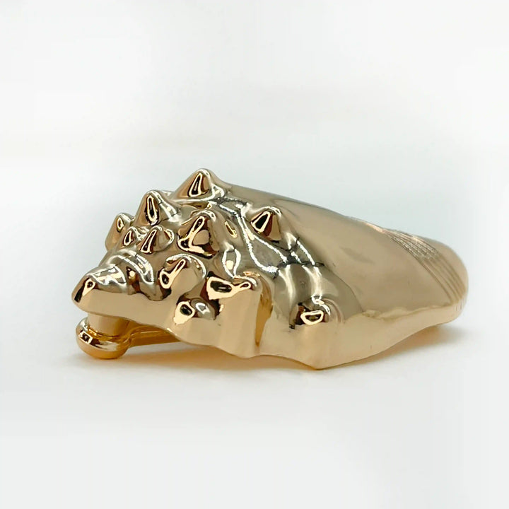 Ani Accessories Gold Conch Shell Metal Buckles Side view to show the thickness in the white background.