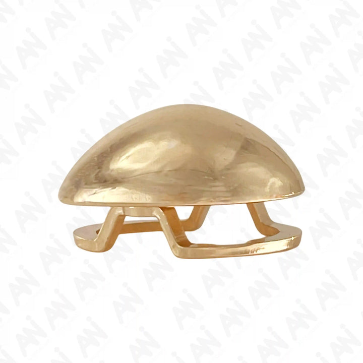 Ani Accessories Golden Tear Metal Buckle top view in the white background.