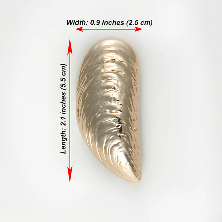 Ani Accessories Shell-Shaped Ornamental Buckle with written on the white background.