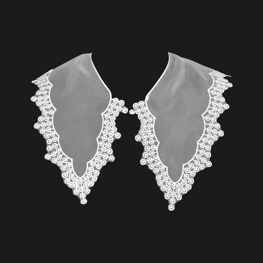Detachable Neck Collar
