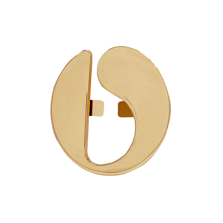 Abstract Shape Buckle