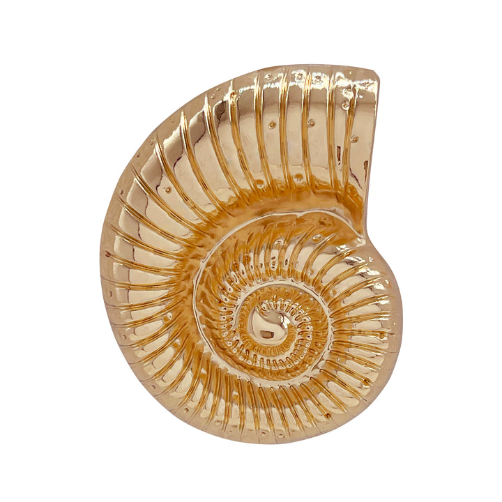 Golden Nautilus Metal Buckle