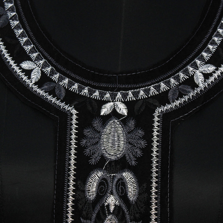 Black velvet with silver embroidery neckline