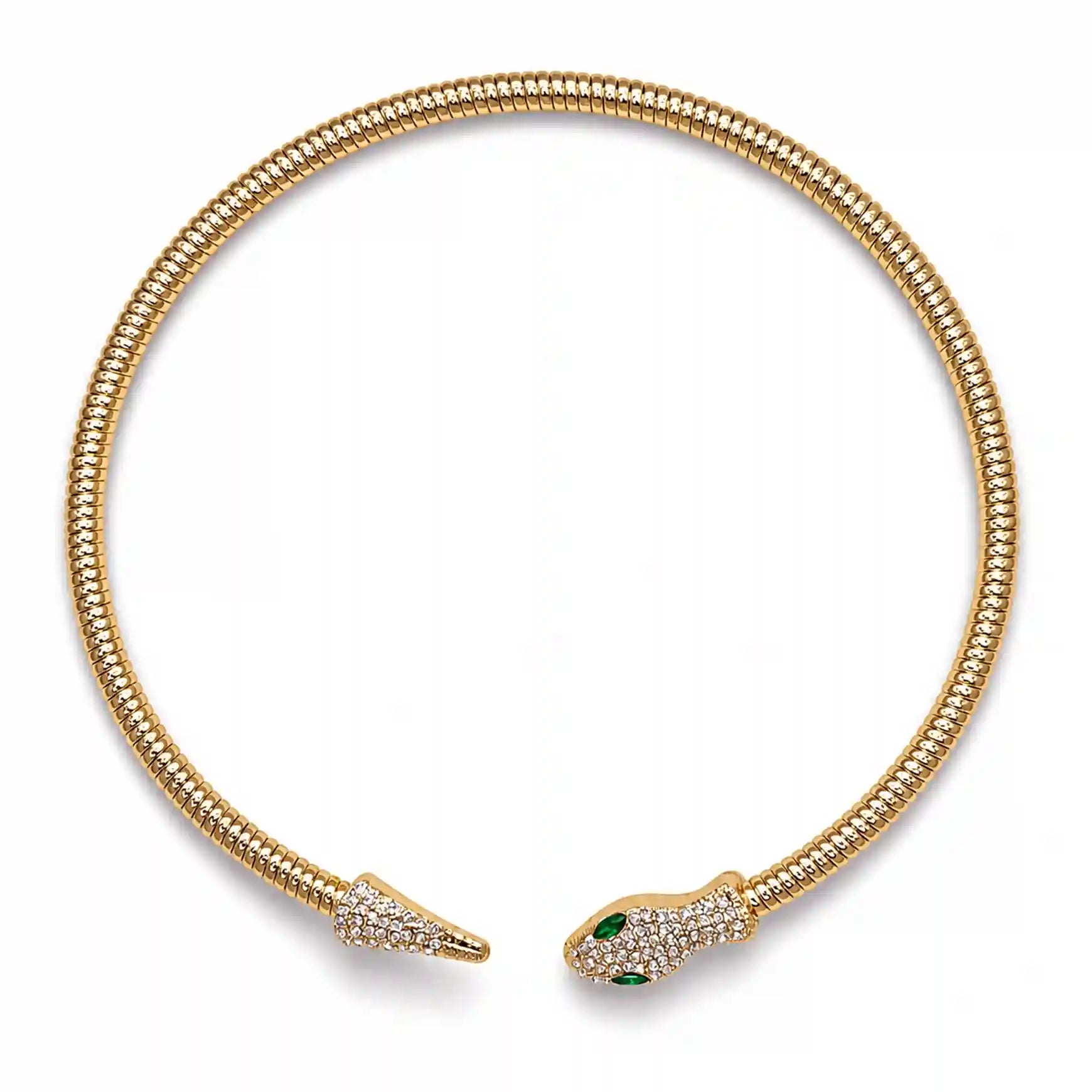 Ani Accessories
