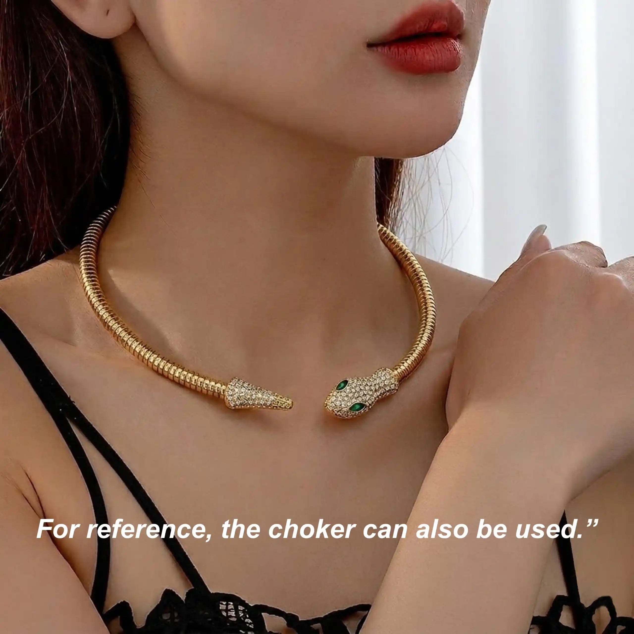Ani Accessories