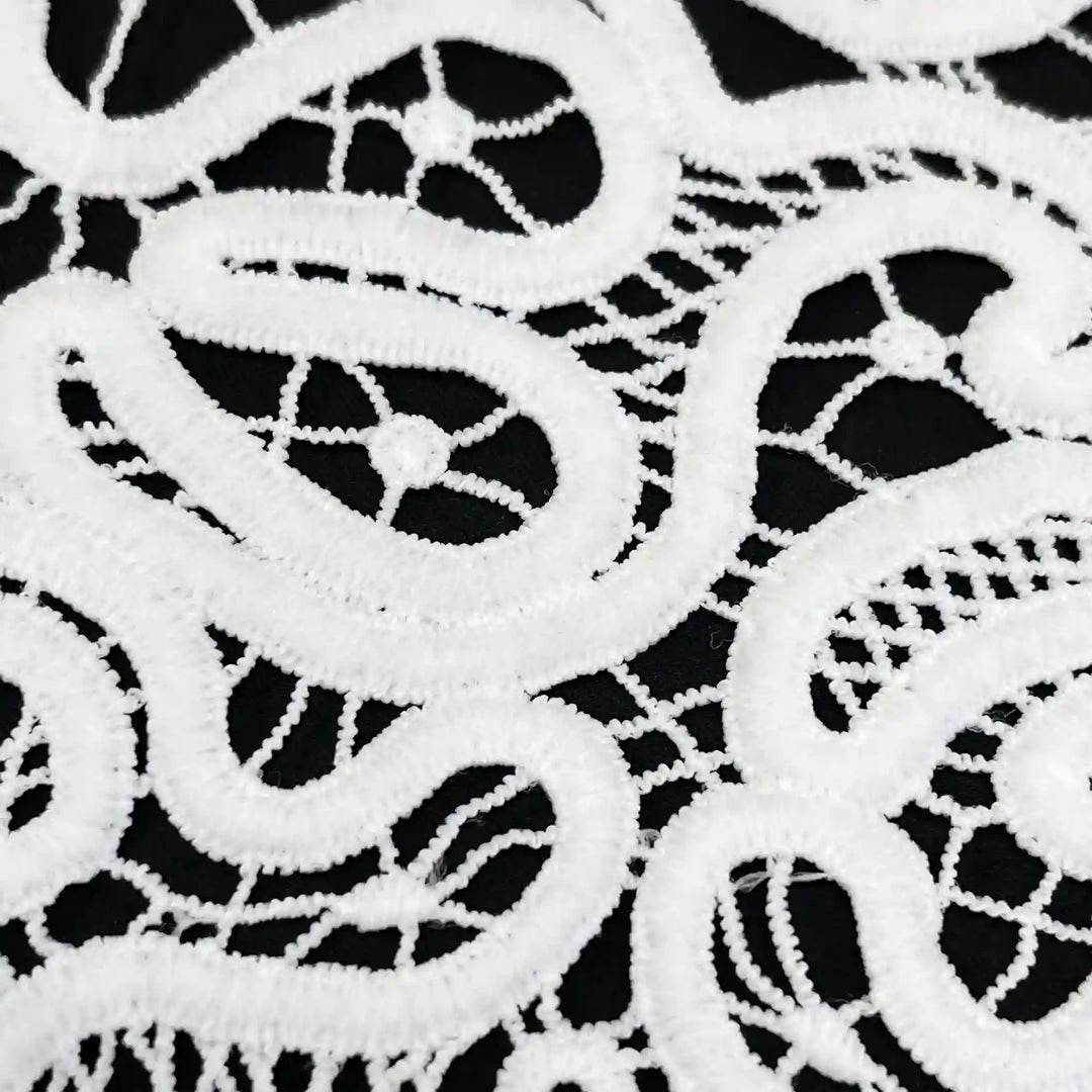 ANI Accessories white guipure lace close-up of raised corded scroll motifs and open-work mesh on black background 