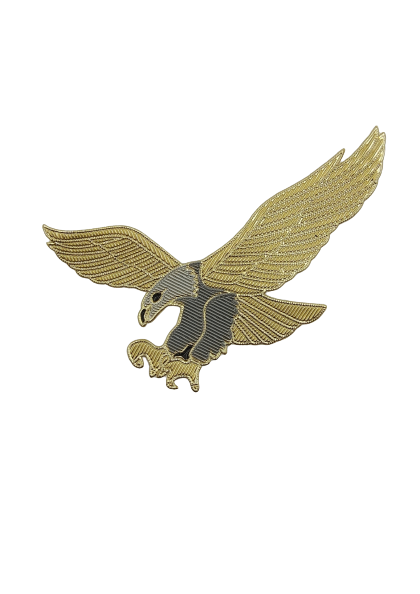 Golden Soaring Eagle Patch